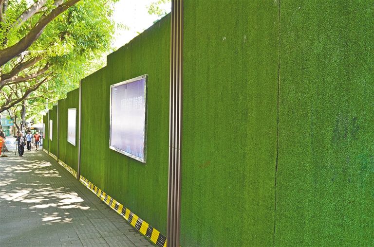 ��ֲΧ����ʲô����